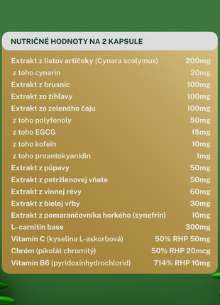 AKCIOVÝ BALÍK Waterline 6 + 1